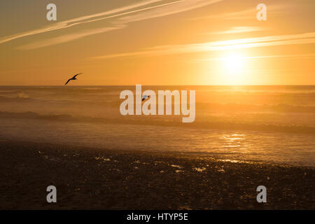 Image d'un magnifique coucher de soleil pendant la golden hour avec deux oiseaux voler autour sur une plage au Maroc. Banque D'Images