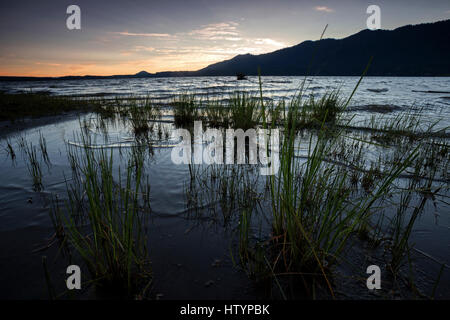 L'humeur du soir au bord du lac près de Quinault Quinault, la péninsule Olympique, Washington, USA Banque D'Images