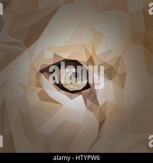Lionne animal eye design poly faible. Illustration vecteur de triangle. Illustration de Vecteur