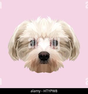Lionne faible animal conception poly. Illustration vecteur de triangle. Illustration de Vecteur