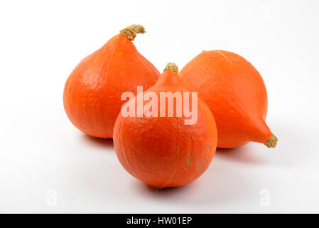 Trois petites citrouilles orange sur fond blanc Banque D'Images