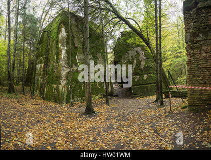 Wolf's Lair, Adolf Hitler's Bunker en Pologne. Premier front de l'est quartier général militaire dans la seconde guerre mondiale. Complexe a été détruit et abandonné sur 1945. Banque D'Images