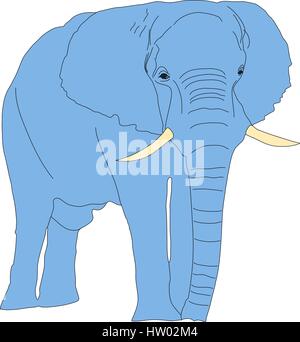 Portrait d'un éléphant dans le parc national d'Etosha Illustration de Vecteur