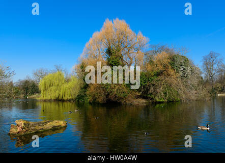 Londres, Royaume-Uni. 15 mars 2017. Un avant-goût de printemps au parc Victoria, arc, Grand Londres où la température atteint 17 degrés centigrades. Crédit : John Eveson/Alamy Live News Banque D'Images