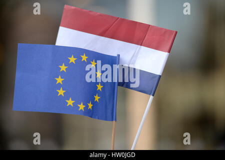 La Haye, Pays-Bas. Mar 16, 2017. ILLUSTRATION - Les hollandais et le drapeau européen, photographié près du parlement à La Haye, Pays-Bas, 16 mars 2017. Le parti libéral-conservateur de l'actuel Premier ministre néerlandais Rutte a reçu le plus de votes lors des élections législatives du 15 mars. Populiste de droite Geert Wilders et son parti PVV ont moins bien réussi que prévu. Photo : Daniel Reinhardt/dpa/Alamy Live News Banque D'Images