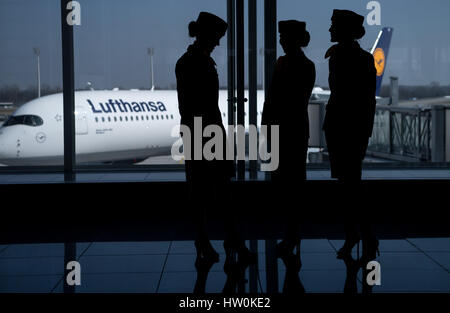 Munich, Allemagne. Mar 16, 2017. Hôtesses de Deutsche Lufthansa AG, photographié à la conférence de presse de l'entreprise à l'aéroport de Munich, Allemagne, 16 mars 2017. Photo : Sven Hoppe/dpa/Alamy Live News Banque D'Images