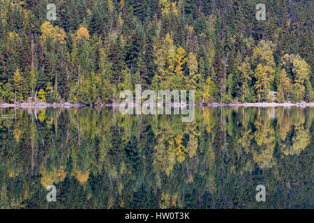 La symétrie et la couleur à l'automne. Eaux calmes de Birkenhead Lake, C.-B., en forêt mixte magnifique reflet-miroir comme les eaux. Banque D'Images