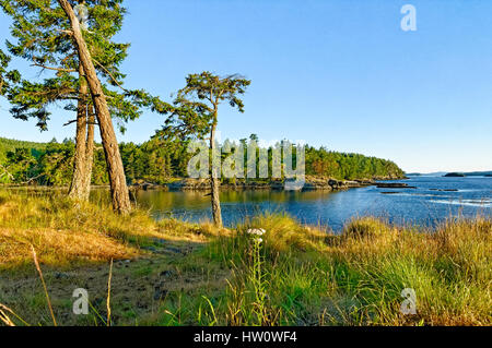 Shore Line, parc provincial Ruckle, Salt Spring Island, British Columbia, Canada Banque D'Images