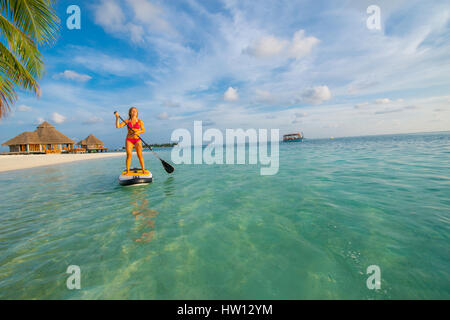 Les Maldives, Rangali Island. Conrad Hilton Resort. Femme sur un paddleboard sur l'océan, près d'un palmier. (MR) Banque D'Images