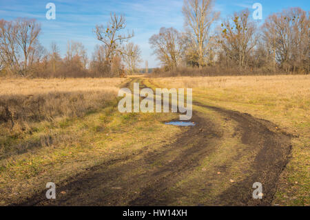 Route à travers l'eau sale meadow en Poltavskaya oblast, Ukraine Banque D'Images