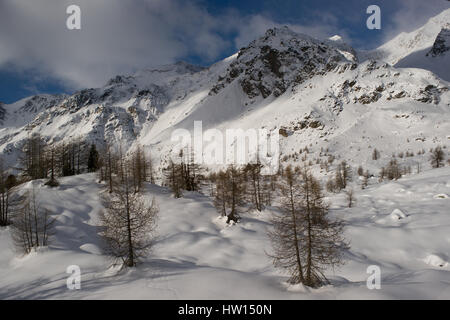 Peio Fonti - Val di Sole, Trentin, Italie Banque D'Images