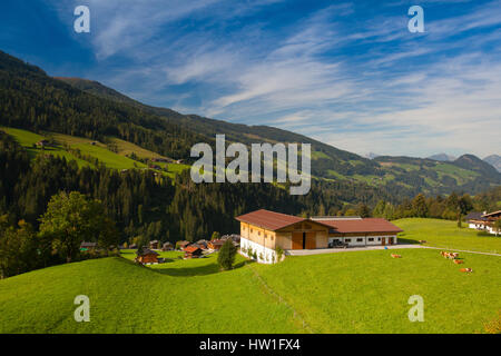 Décor de l'automne dans la vallée de Alpbach, Autriche. Banque D'Images