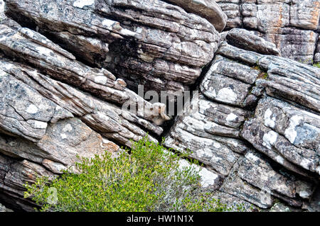 Fissures dans les roches anciennes de la gammes des Grampians à Victoria, Australie Banque D'Images