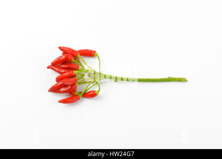 Tas de piments rouges frais sur fond blanc Banque D'Images