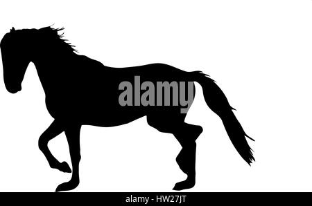 Silhouette d'un cheval sauvage du désert garub Illustration de Vecteur