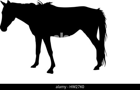 Silhouette d'un cheval sauvage du désert garub Illustration de Vecteur