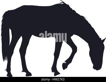 Silhouette d'un cheval sauvage du désert garub Illustration de Vecteur