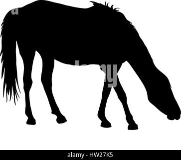 Silhouette d'un cheval sauvage du désert garub Illustration de Vecteur