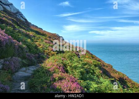 La côte du Pays de Galles le chemin sur l'île d'Anglesey. Banque D'Images