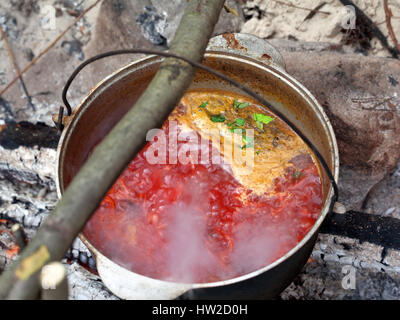 Bortsch (soupe traditionnelle) la cuisson au chaudron de suie sur feu de bois à la forêt. Focus sélectif. Banque D'Images