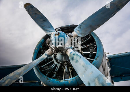 Un grand ancien de l'hélice d'un avion soviétique-2 contre un ciel nuageux ciel du soir Banque D'Images