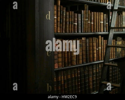 Livres anciens et d'une échelle dans une bibliothèque à Dublin, Irlande. Banque D'Images