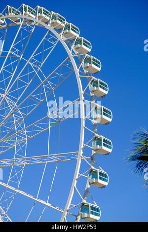 Grande Roue opérant dans la ville de Malaga Espagne Banque D'Images