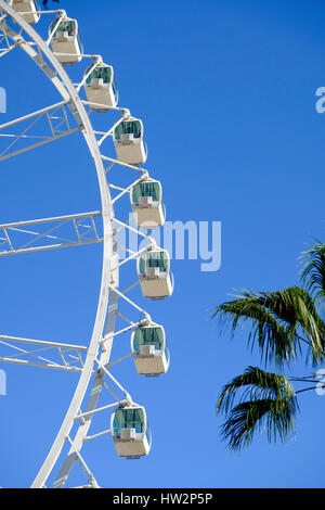 Grande Roue opérant dans la ville de Malaga Espagne Banque D'Images