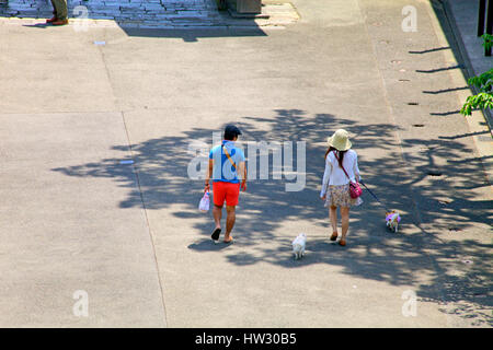 En tenant les chiens pour une promenade dans Ikegami-Honmonji Ota Temple Tokyo Japon Banque D'Images