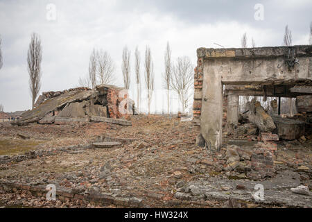 Chambre à gaz et le crématorium du camp de la mort de concentration d'Auschwitz, Pologne, détruit et en ruines Banque D'Images