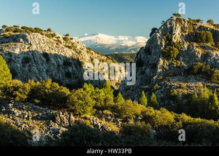 Vista sur le Parc National de la Sierra Nevada, Espagne Banque D'Images