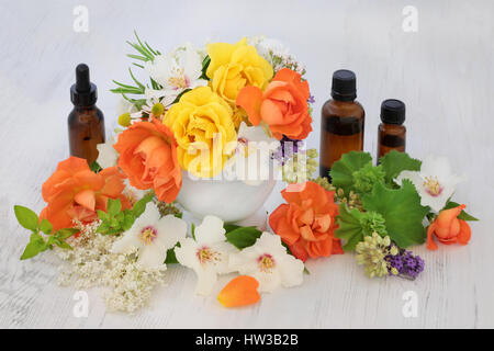 Sélection de fleurs et d'herbes avec aromathérapie huiles essentielles flacons et Mortier avec pilon. Banque D'Images