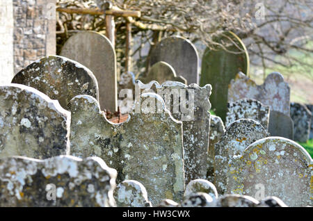 Boughton Monchelsea Village, Maidstone, Kent, Angleterre. St Peter's Churchyard. Pierres tombales surmonté avec lychen Banque D'Images