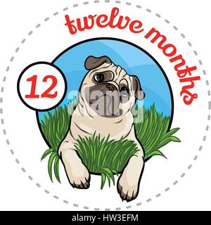 Autocollant bébé mensuel. Cute cartoon animal illustration pour petit garçon ou fille. Première année, douze mois. Heureux chiot pug. Race de chien Illustration de Vecteur