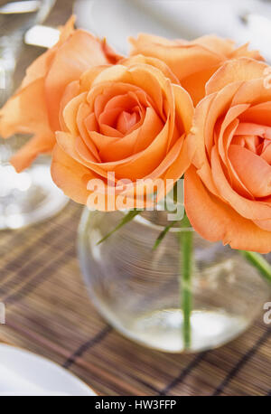 Bouquet de roses orange. Banque D'Images