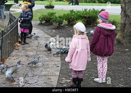 Peu de filles ayant l'amusement jouer le montant les feuilles d'automne park St. Stephen's Green, Dublin Irlande enfants exploration du concept, observer, apprendre, pigeons Banque D'Images