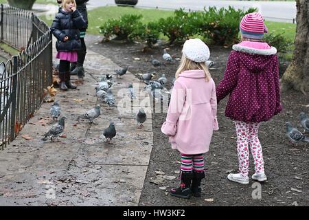 Peu de filles ayant l'amusement jouer le montant les feuilles d'Automne dans le parc de St Stephen's Green, Dublin Irlande enfants nourrir les pigeons, oiseaux, concept Banque D'Images