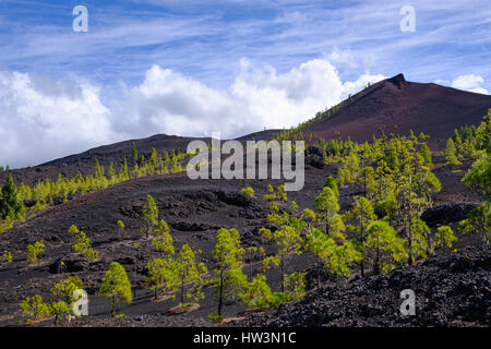 Montaña Negra ou Volcán Garachico, paysage de lave, à El Tanque, Tenerife, Canaries, Espagne Banque D'Images