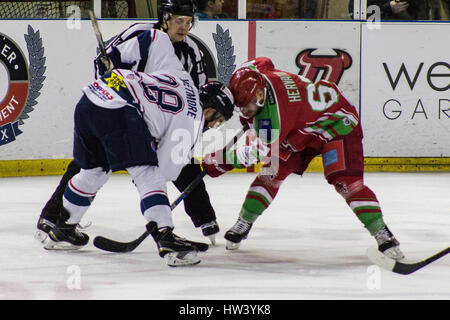 CARDIFF, Royaume-Uni. Cardiff Devils Club de Hockey sur glace jouant un match à domicile dans la patinoire de Cardiff. Banque D'Images