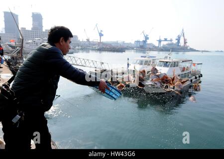 Qingdao, Qingdao, Chine. Mar 16, 2017. Qingdao, Chine-Mars 16 2017 : (usage éditorial uniquement. Chine).Certains citoyens achètent plus de 500 kilo de poisson et les mettre gratuitement à la mer à Qingdao, province de Shandong en Chine orientale, le 16 mars 2017. Cependant, certains autres citoyens garder pêche à proximité, ce qui est très ironique. Crédit : SIPA Asie/ZUMA/Alamy Fil Live News Banque D'Images