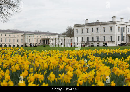 Greenwich, London, UK. Mar 17, 2017. Les jonquilles en face de la Maison de la Reine à Greenwich aujourd'hui. Crédit : Rob Powell/Alamy Live News Banque D'Images