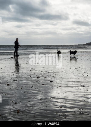 Charmouth plage, Charmouth, Dorset, UK. 17 mars 2017. Un chien walker sur un gris et couvert l'après-midi à Charmouth plage. © Dan Tucker/Alamy Live News Banque D'Images