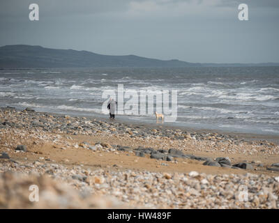 Charmouth plage, Charmouth, Dorset, UK. 17 mars 2017. Un chien walker sur un gris et couvert l'après-midi à Charmouth plage. © Dan Tucker/Alamy Live News Banque D'Images