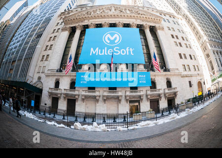 New York, USA. Mar 17, 2017. La Bourse de New York est décoré pour l'entreprise de technologie de Mulesoft offre publique initiale le vendredi 17 mars, 2017. Mulesoft, une entreprise de technologie, vend des api (application programming interface) permettant aux entreprises d'intégrer des applications d'une variété de différentes sources de données. ( © Richard B. Levine) Crédit : Richard Levine/Alamy Live News Banque D'Images