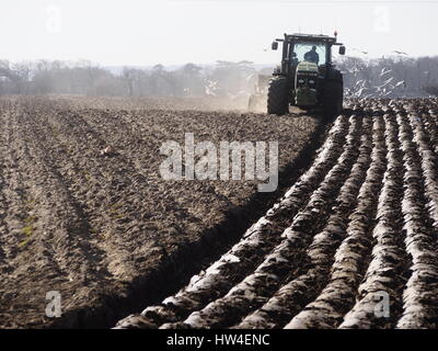 Champ de labour tracteur happisburgh norfolk uk Banque D'Images