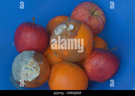 Les oranges et les pommes pourries dans un bol de fruits Banque D'Images