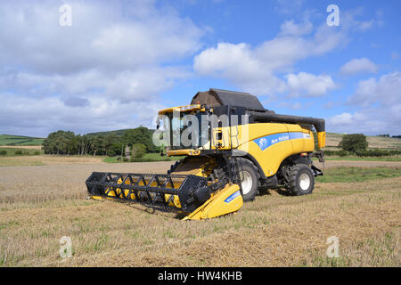 New Holland CX880 combine Harvester Banque D'Images