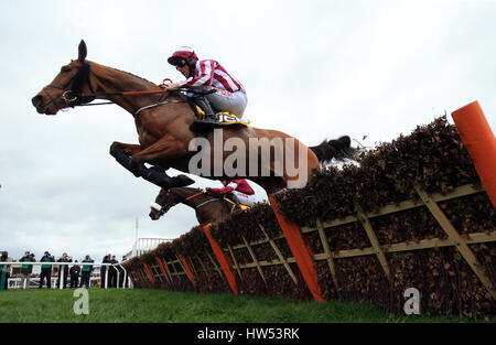 MEGA Fortune, monté par Davy Russell dans le JCB Triumph pendant la Gold Cup Day du Cheltenham Festival 2017 à Cheltenham Racecourse. APPUYEZ SUR ASSOCIATION photo. Date de la photo : vendredi 17 mars 2017. Voir PA Story RACING Cheltenham. Le crédit photo devrait se lire comme suit : Mike Egerton/PA Wire. Banque D'Images