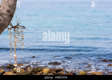 Une coquille de mer plage mobile suspendue à un palmier avec mer calme dans l'arrière-plan avec la profondeur de champ. Banque D'Images