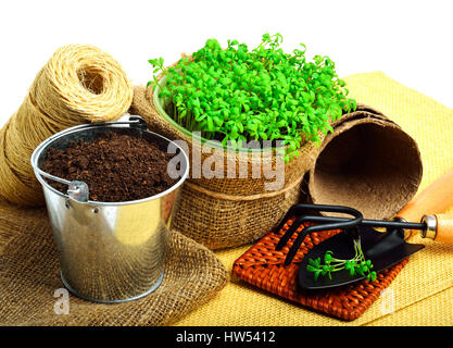 Salade de cresson sur le lit de fleur avec pelle, râteau, tourbe tasses, corde isolated on white Banque D'Images